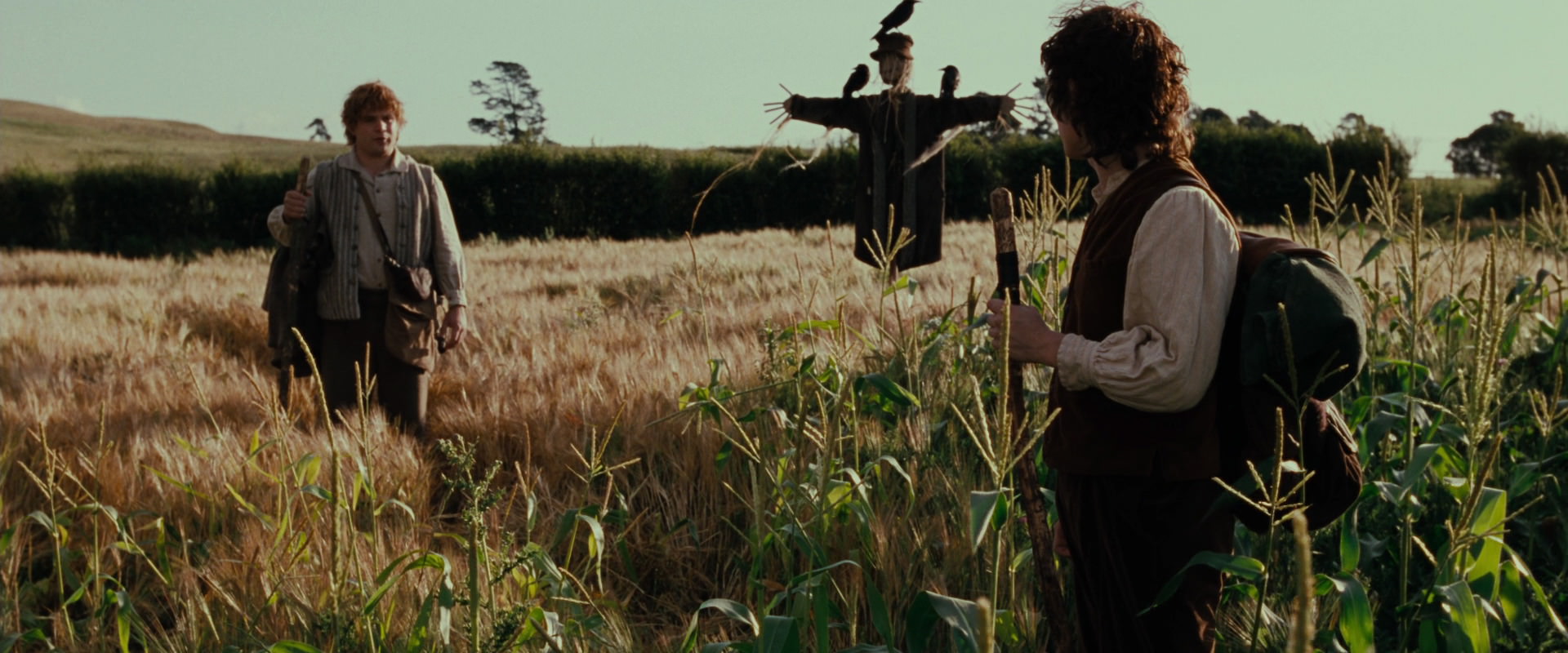 The Lord of the Rings: The Fellowship of the Ring (2001) screencap 5085