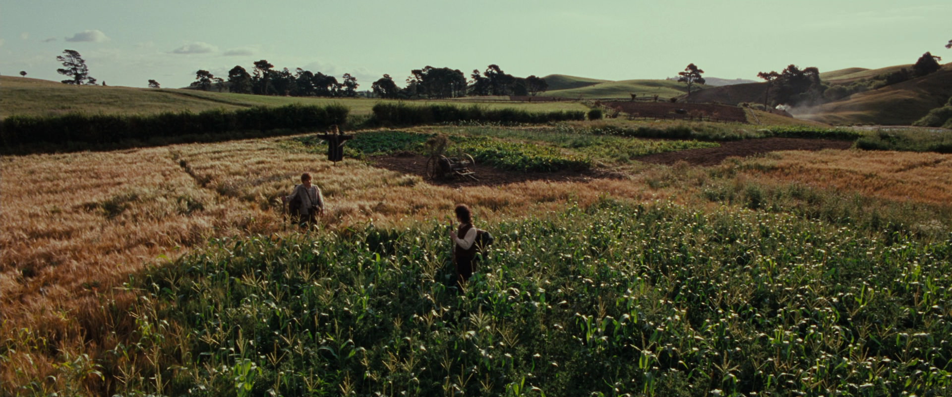 The Lord of the Rings: The Fellowship of the Ring (2001) HD screenshot 5087