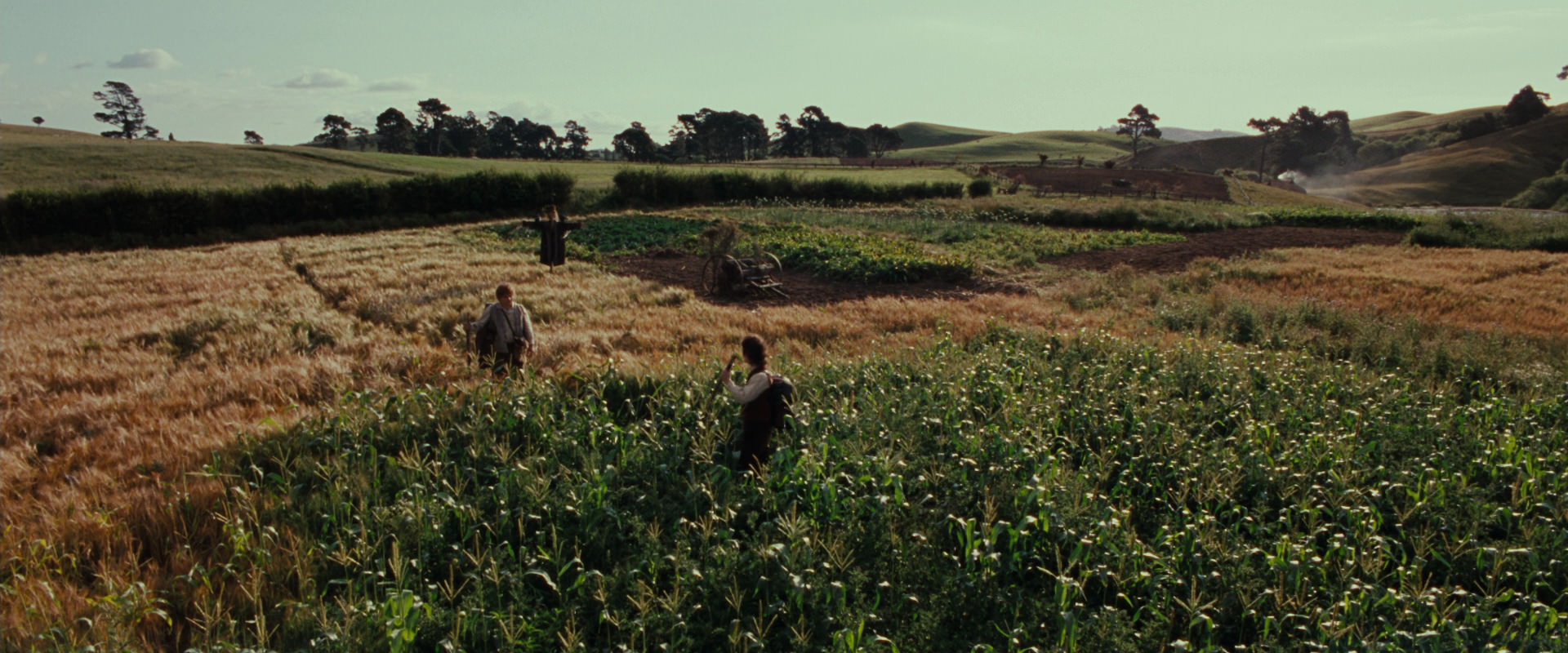 The Lord of the Rings: The Fellowship of the Ring (2001) screencap 5088