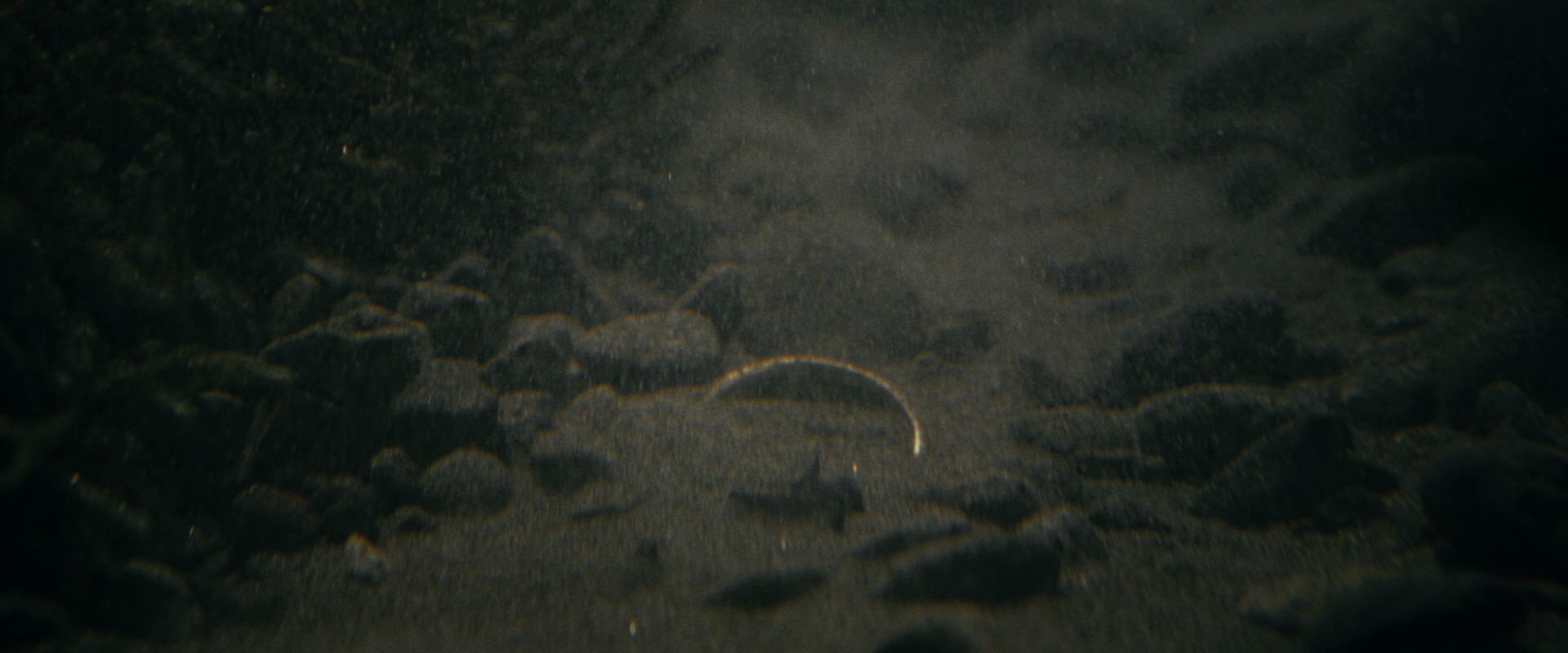 The Lord of the Rings: The Fellowship of the Ring (2001) HD screenshot 509