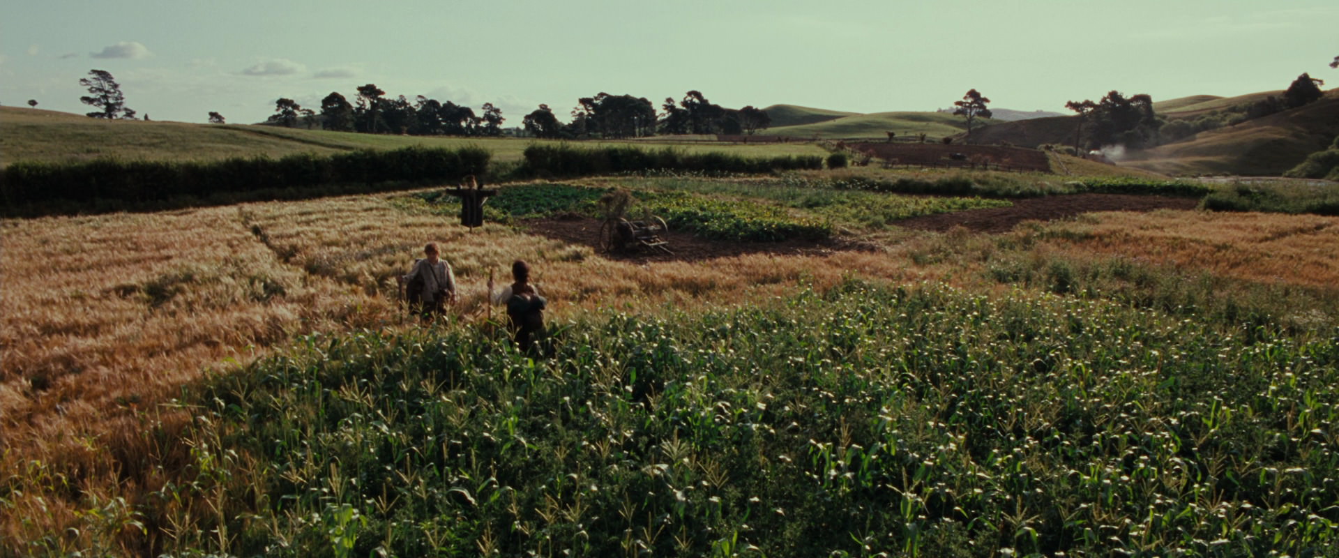 The Lord of the Rings: The Fellowship of the Ring (2001) screencap 5094