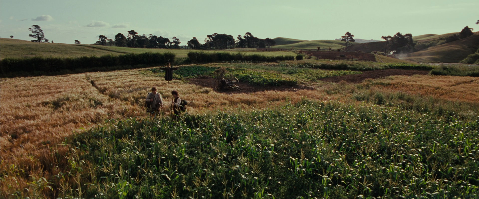 The Lord of the Rings: The Fellowship of the Ring (2001) screencap 5100