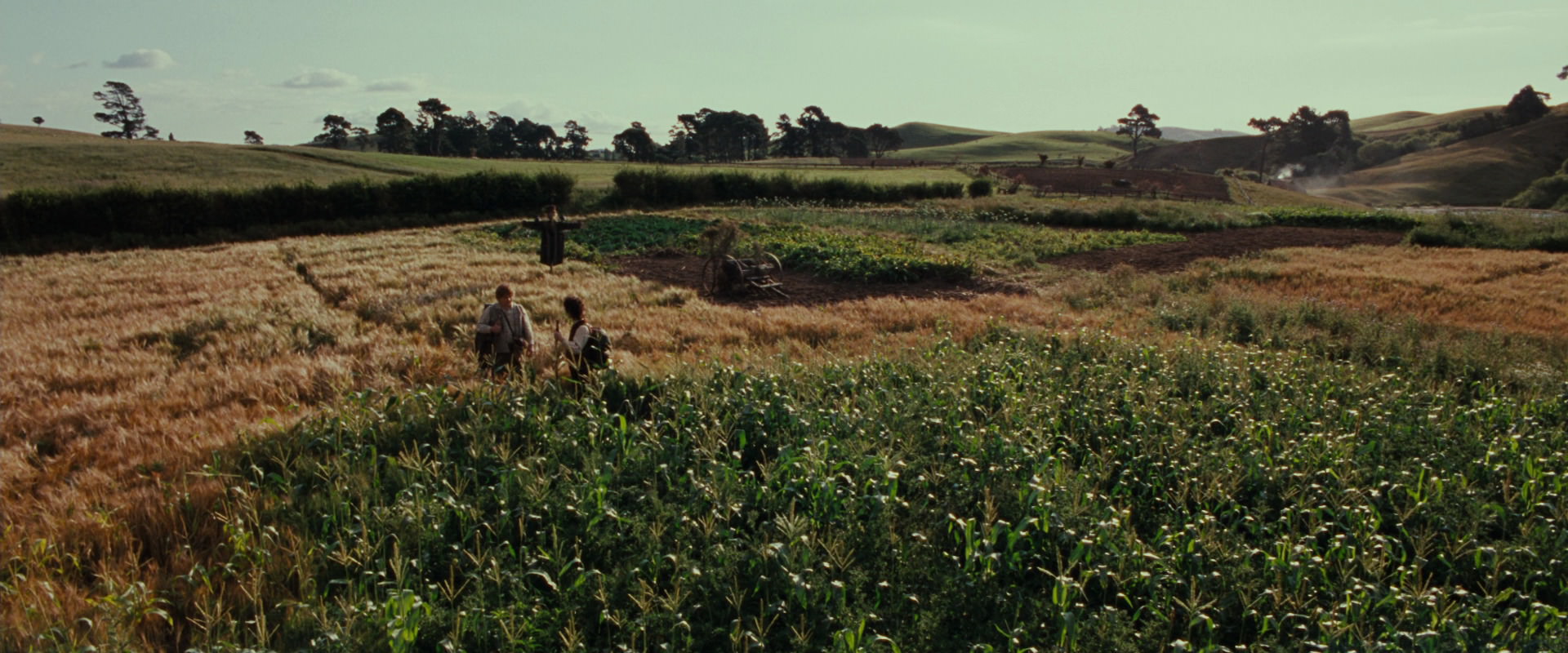 The Lord of the Rings: The Fellowship of the Ring (2001) HD screenshot 5102