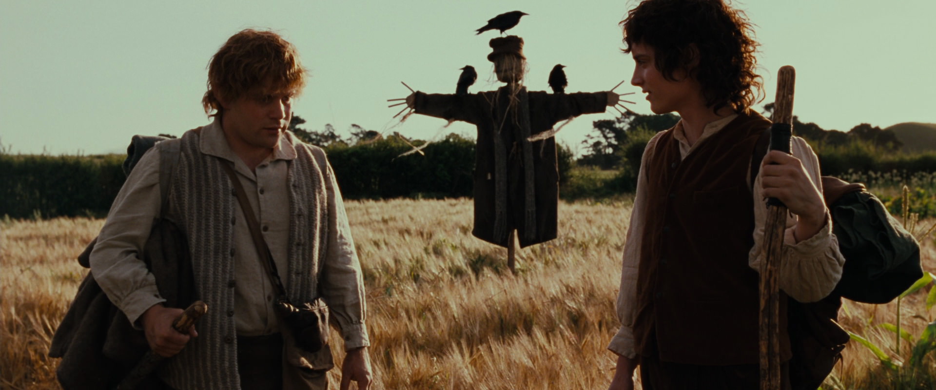 The Lord of the Rings: The Fellowship of the Ring (2001) screencap 5109