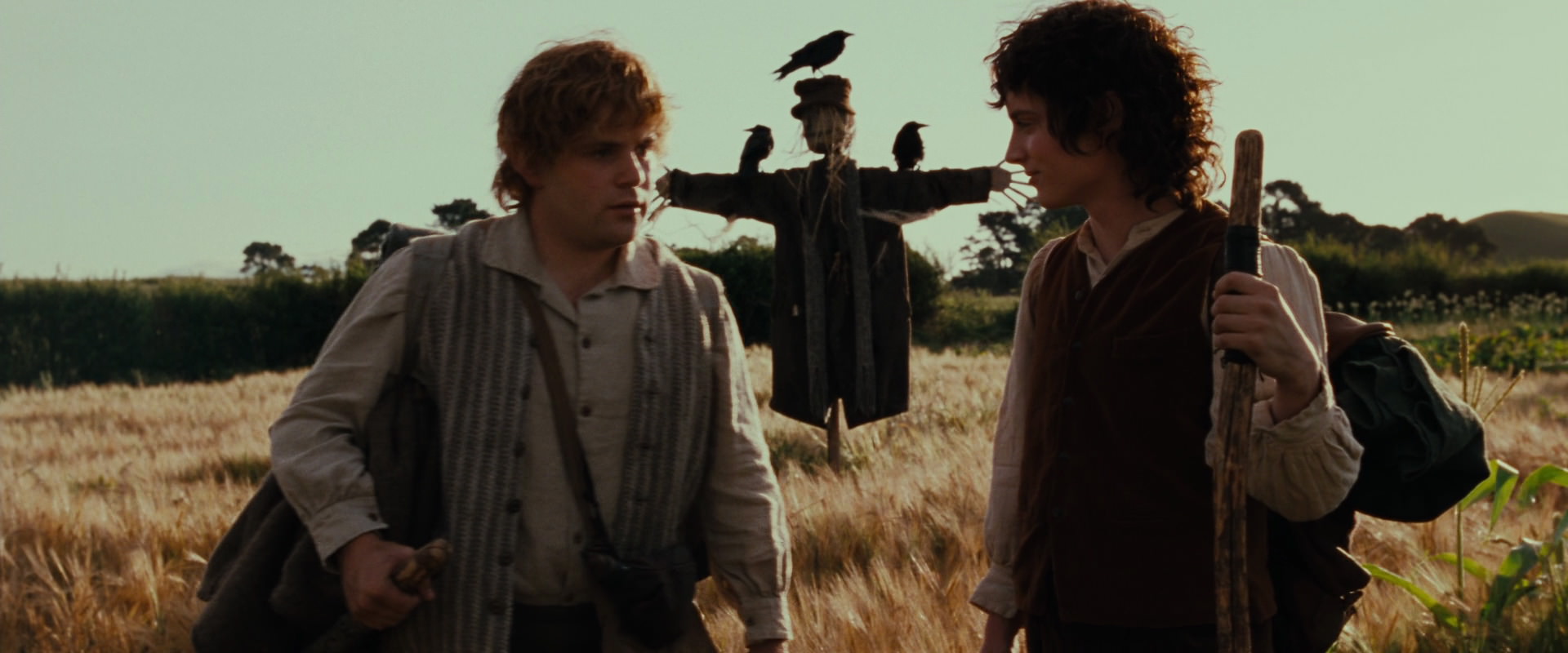 The Lord of the Rings: The Fellowship of the Ring (2001) screencap 5112