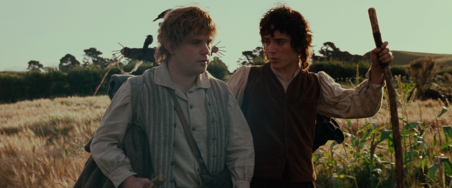 The Lord of the Rings: The Fellowship of the Ring (2001) screencap 5118