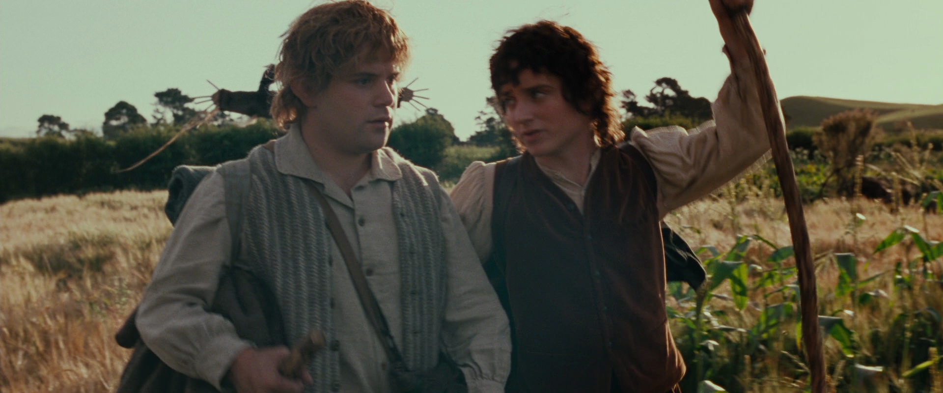 The Lord of the Rings: The Fellowship of the Ring (2001) movie still 5119