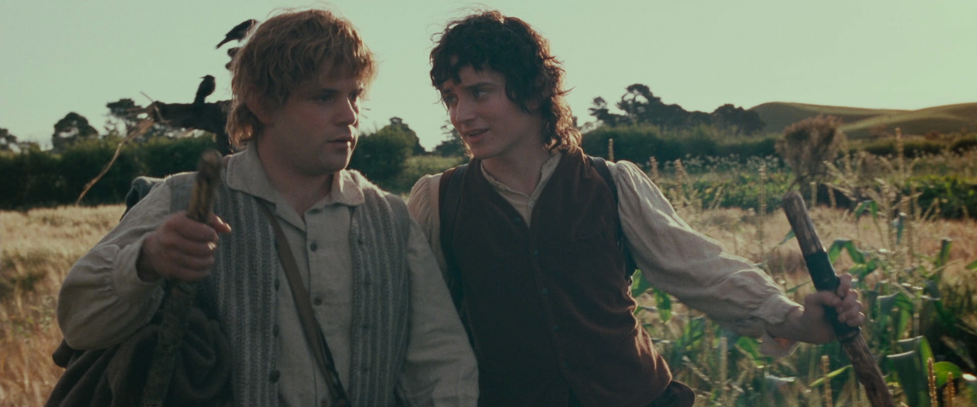 The Lord of the Rings: The Fellowship of the Ring (2001) HD screenshot 5120