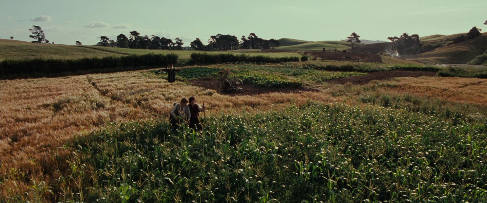 The Lord of the Rings: The Fellowship of the Ring (2001) screencap 5121
