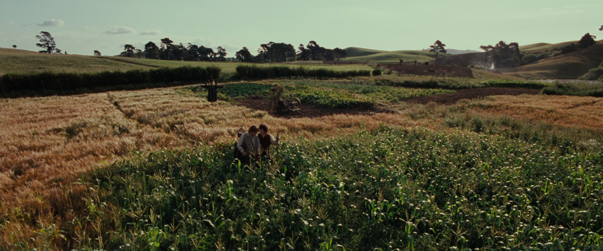 The Lord of the Rings: The Fellowship of the Ring (2001) screencap 5124