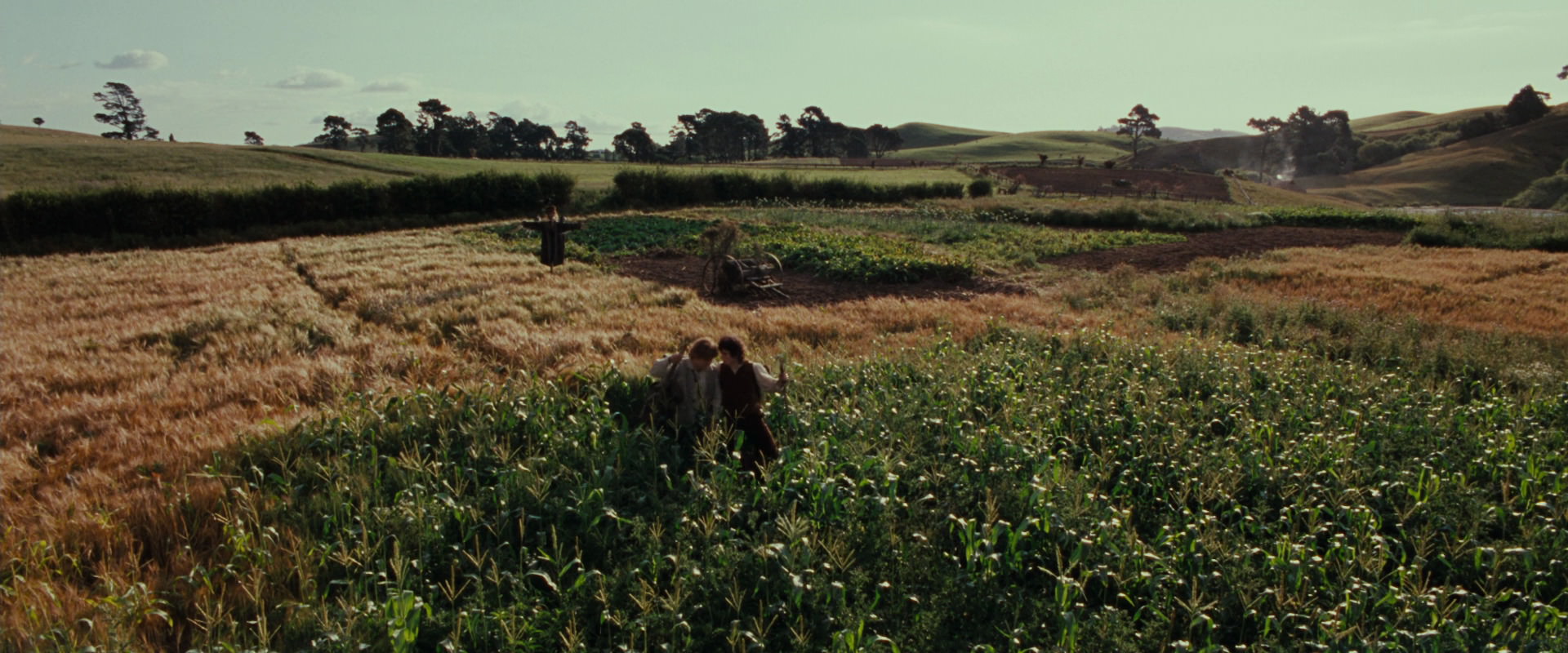 The Lord of the Rings: The Fellowship of the Ring (2001) screencap 5127