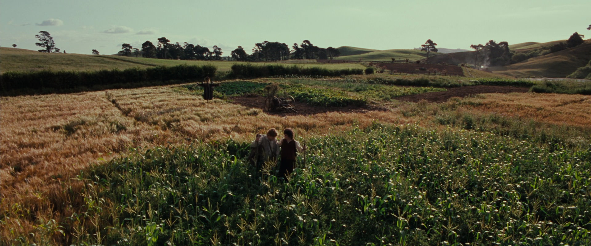 The Lord of the Rings: The Fellowship of the Ring (2001) movie still 5128