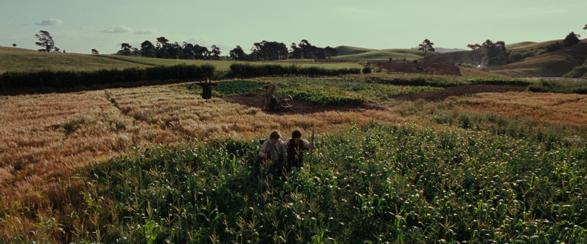 The Lord of the Rings: The Fellowship of the Ring (2001) HD screenshot 5129