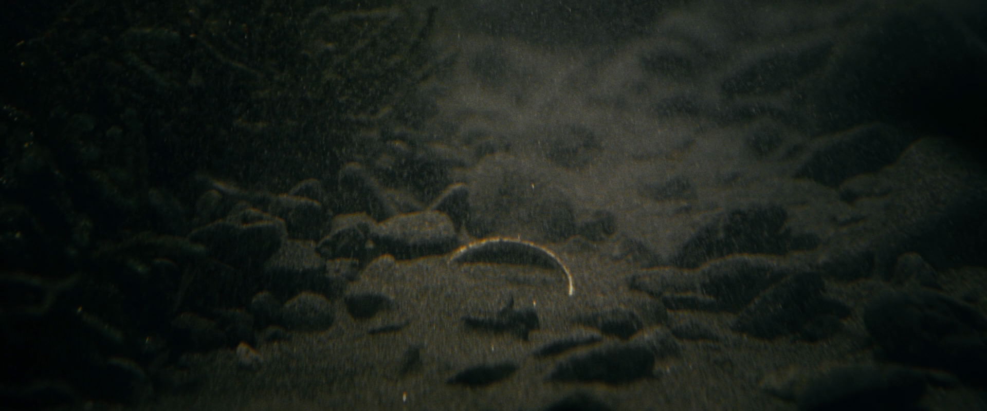 The Lord of the Rings: The Fellowship of the Ring (2001) screencap 513
