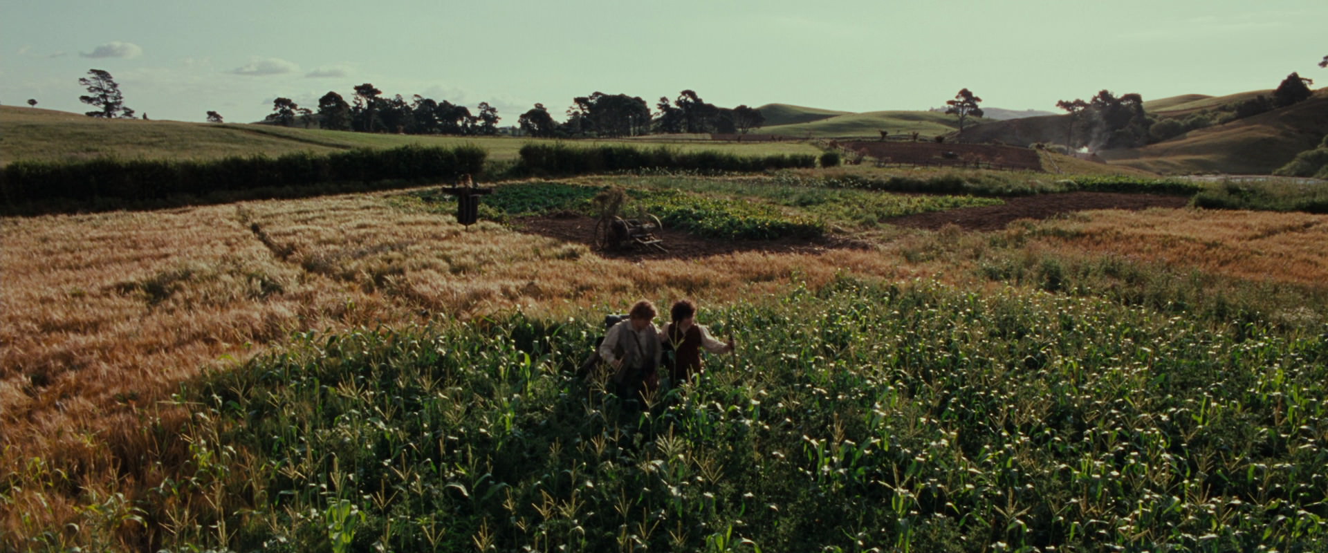 The Lord of the Rings: The Fellowship of the Ring (2001) screencap 5130