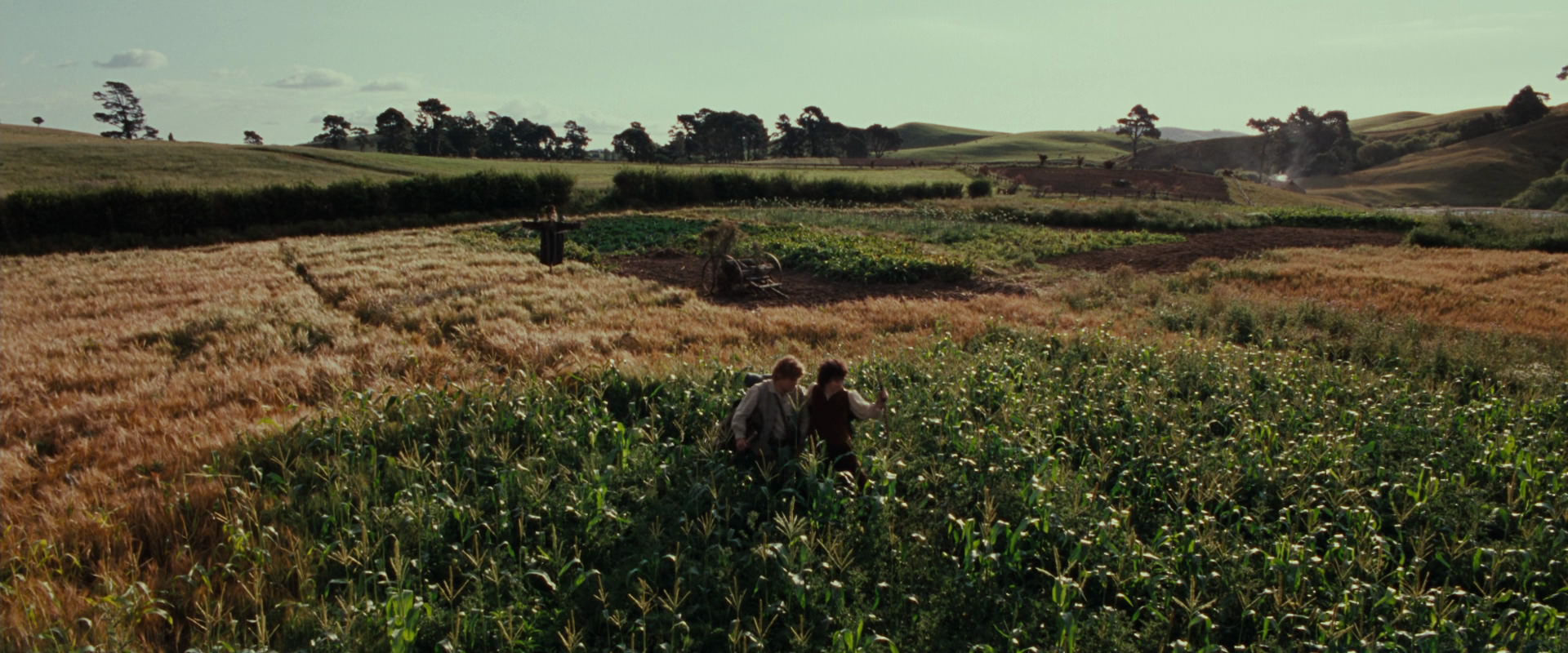 The Lord of the Rings: The Fellowship of the Ring (2001) movie still 5131
