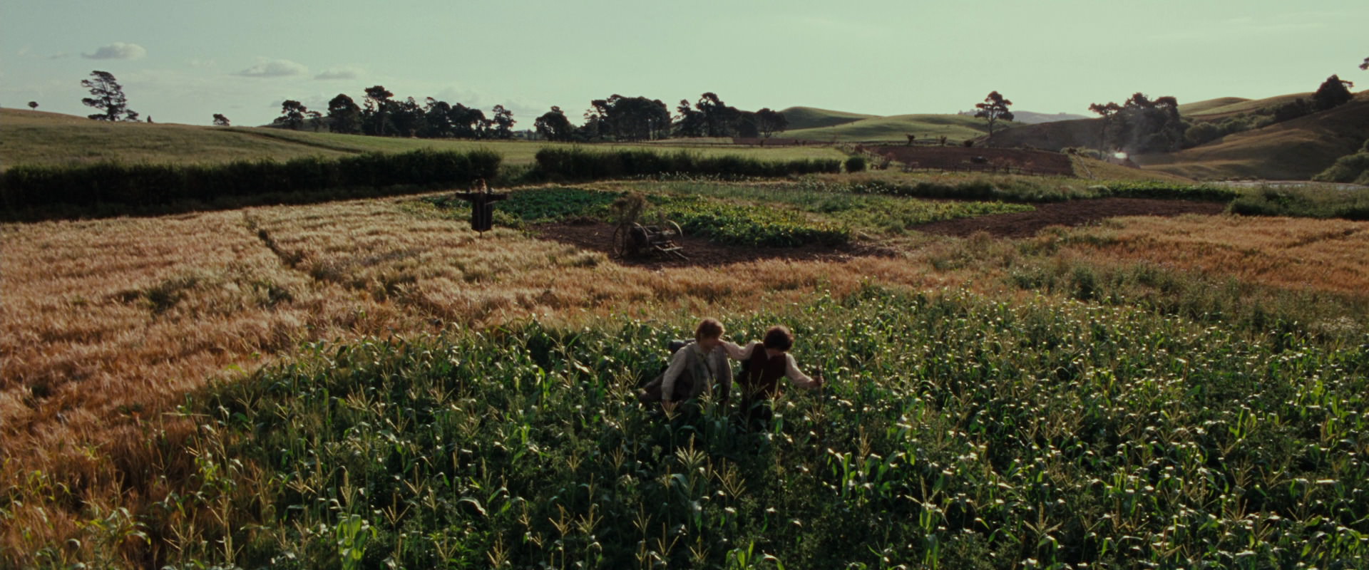 The Lord of the Rings: The Fellowship of the Ring (2001) HD screenshot 5132