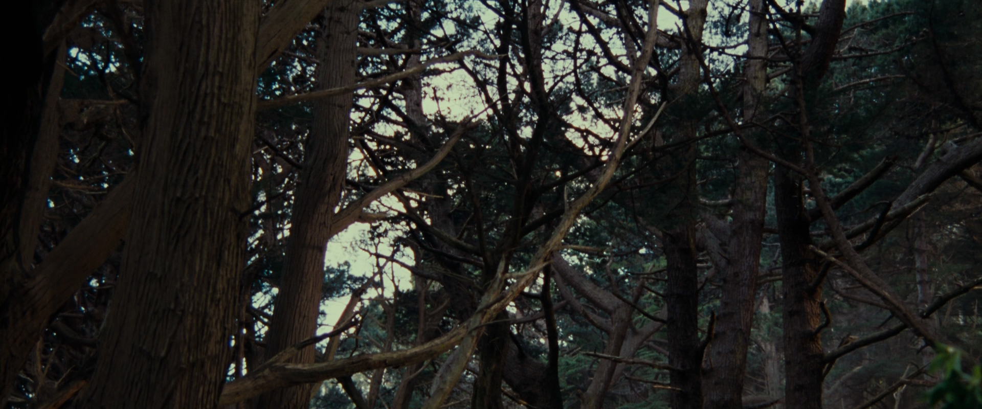 The Lord of the Rings: The Fellowship of the Ring (2001) screencap 5133