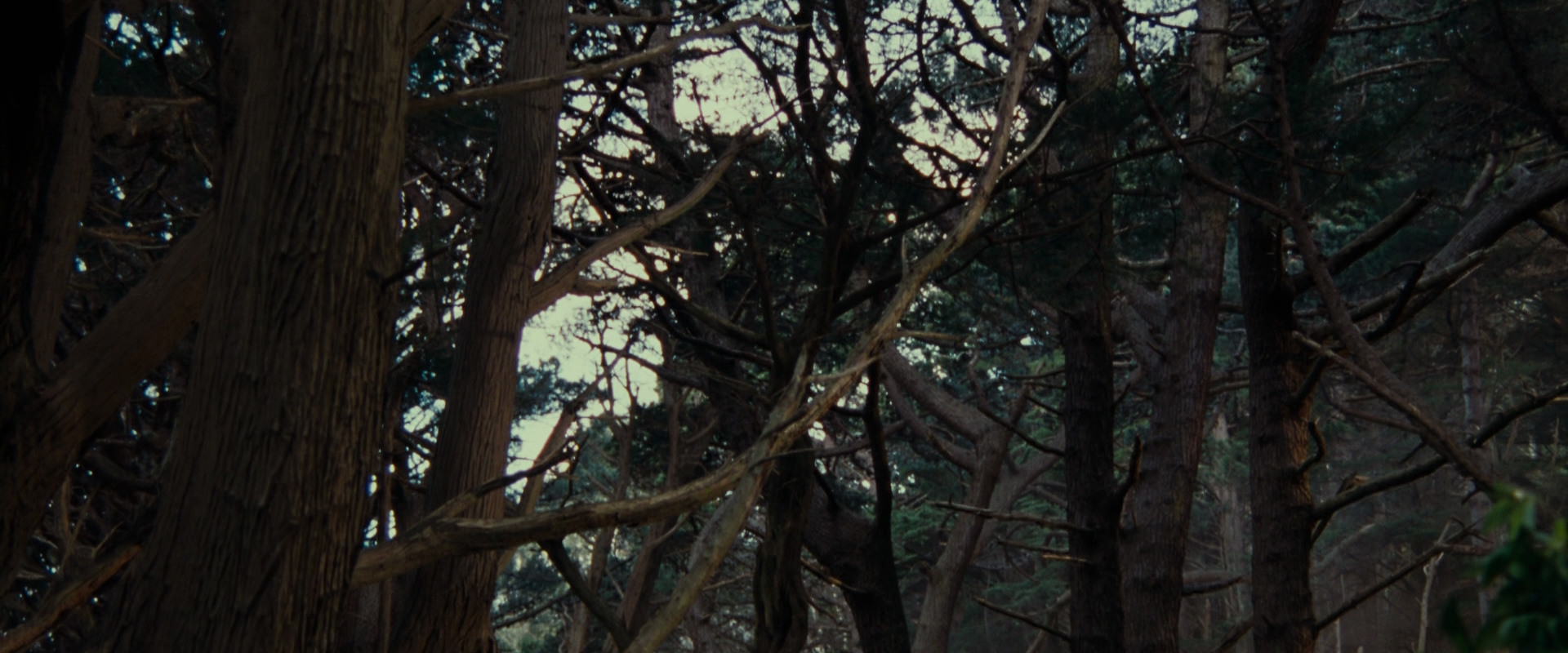 The Lord of the Rings: The Fellowship of the Ring (2001) movie still 5134