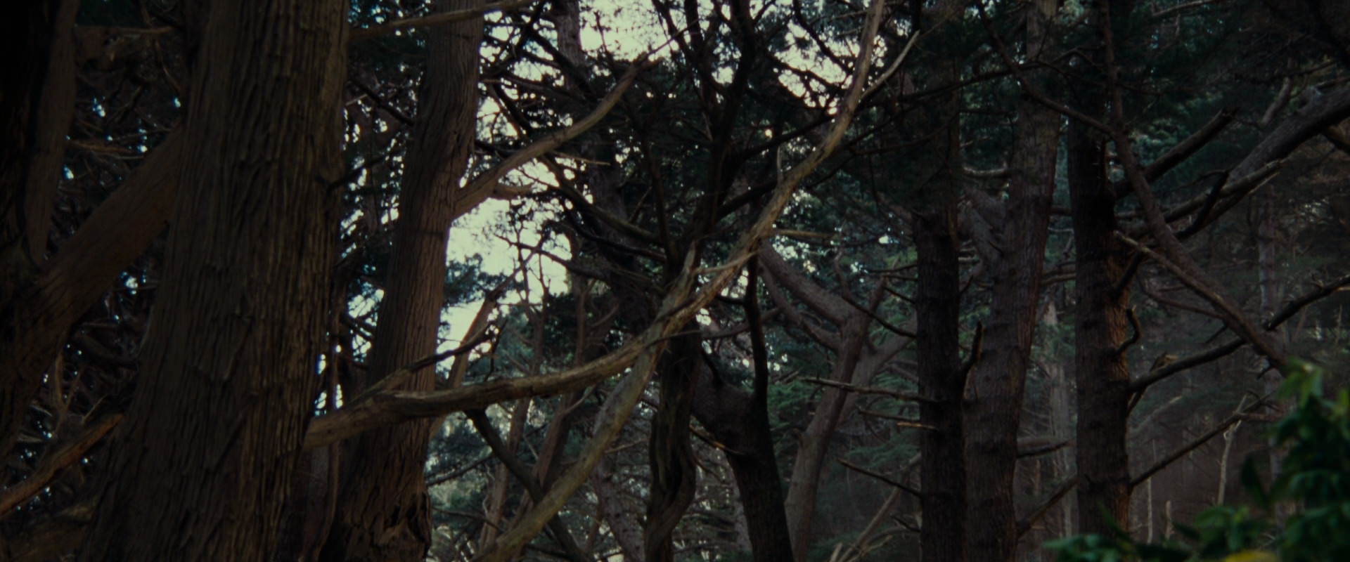 The Lord of the Rings: The Fellowship of the Ring (2001) HD screenshot 5135
