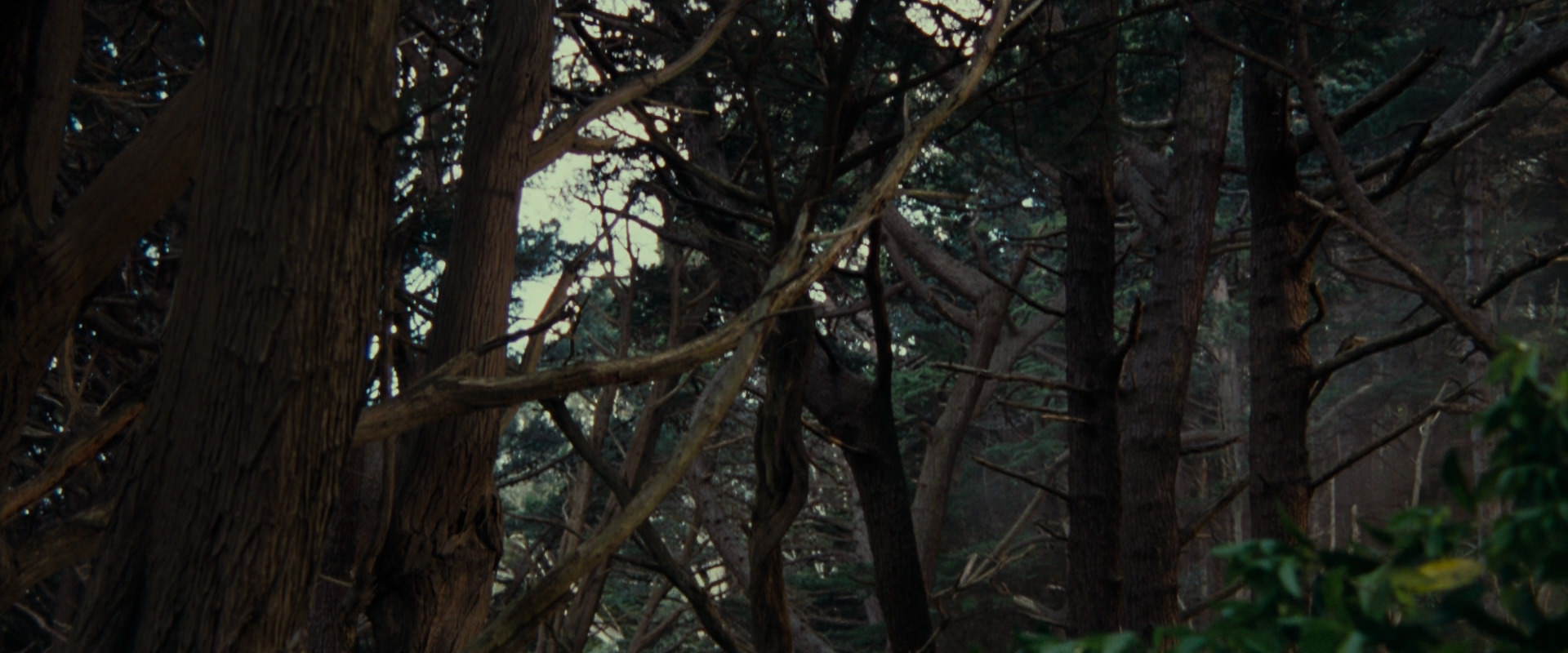 The Lord of the Rings: The Fellowship of the Ring (2001) screencap 5136