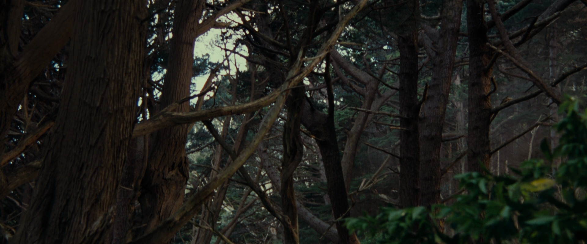 The Lord of the Rings: The Fellowship of the Ring (2001) movie still 5137