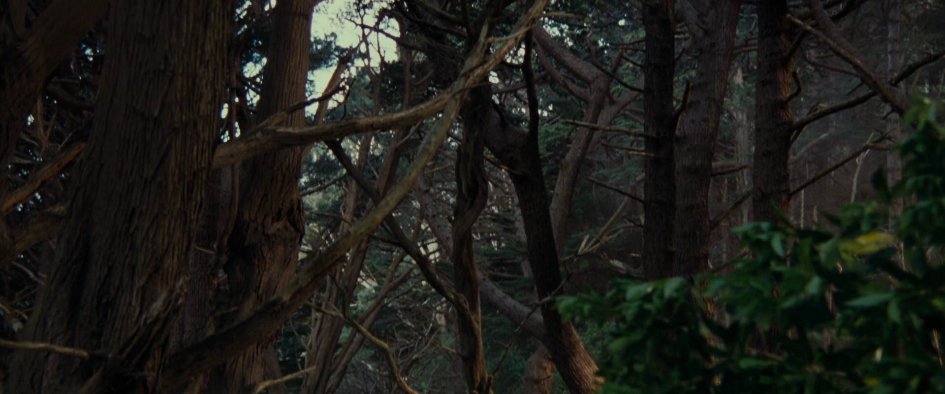 The Lord of the Rings: The Fellowship of the Ring (2001) HD screenshot 5138