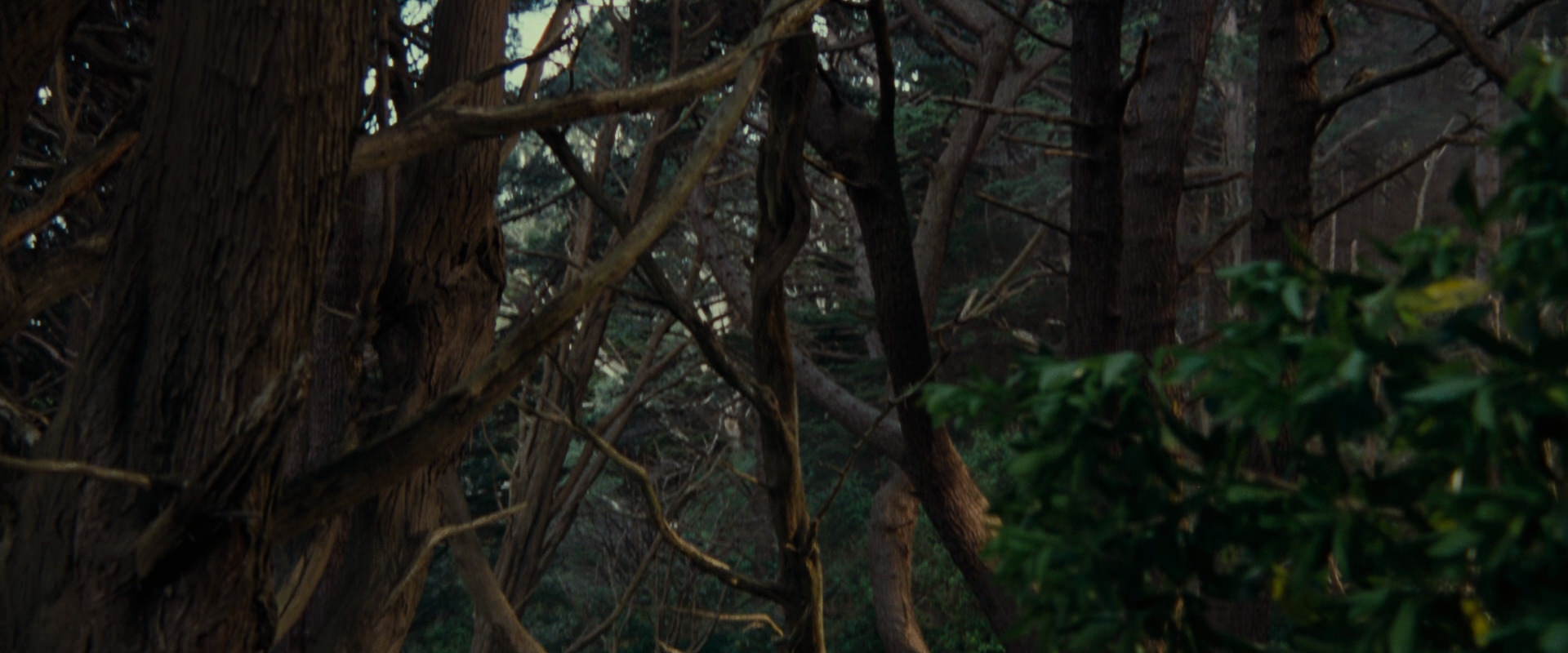 The Lord of the Rings: The Fellowship of the Ring (2001) screencap 5139