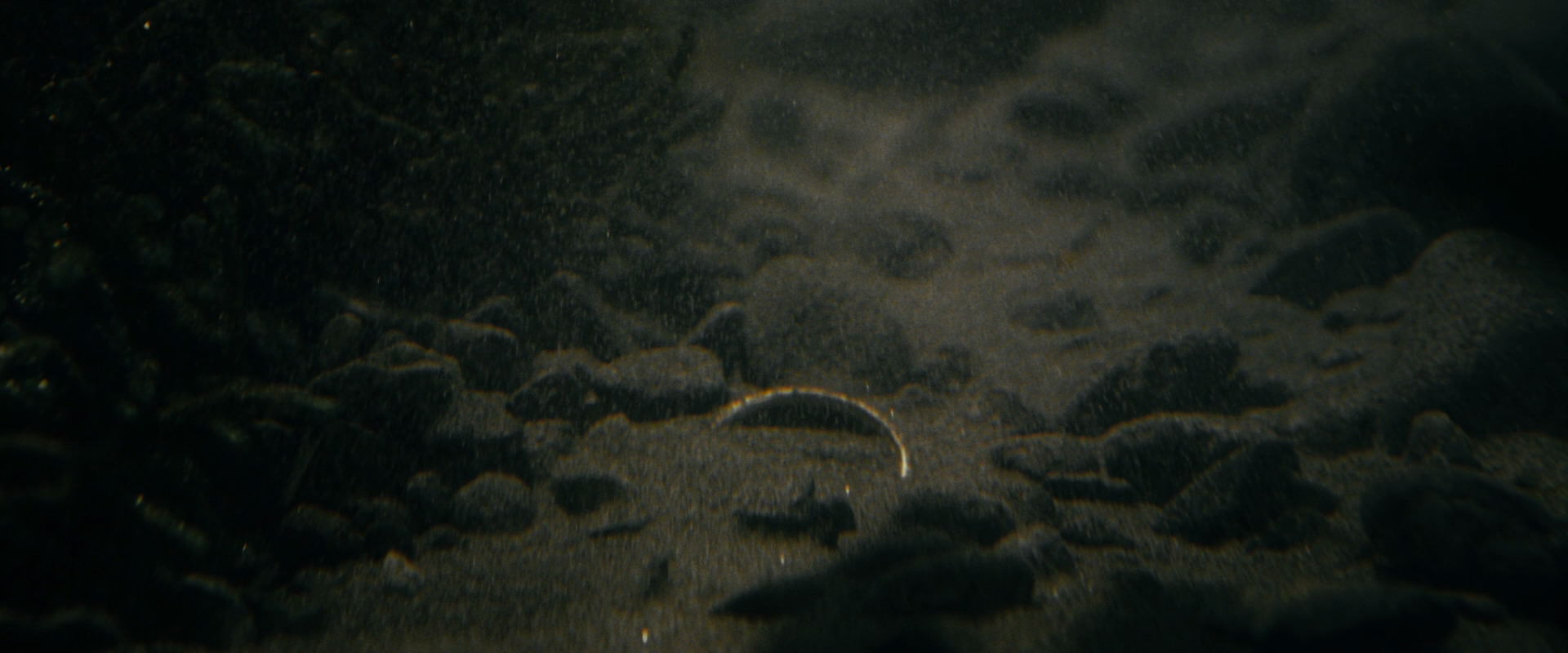 The Lord of the Rings: The Fellowship of the Ring (2001) movie still 514