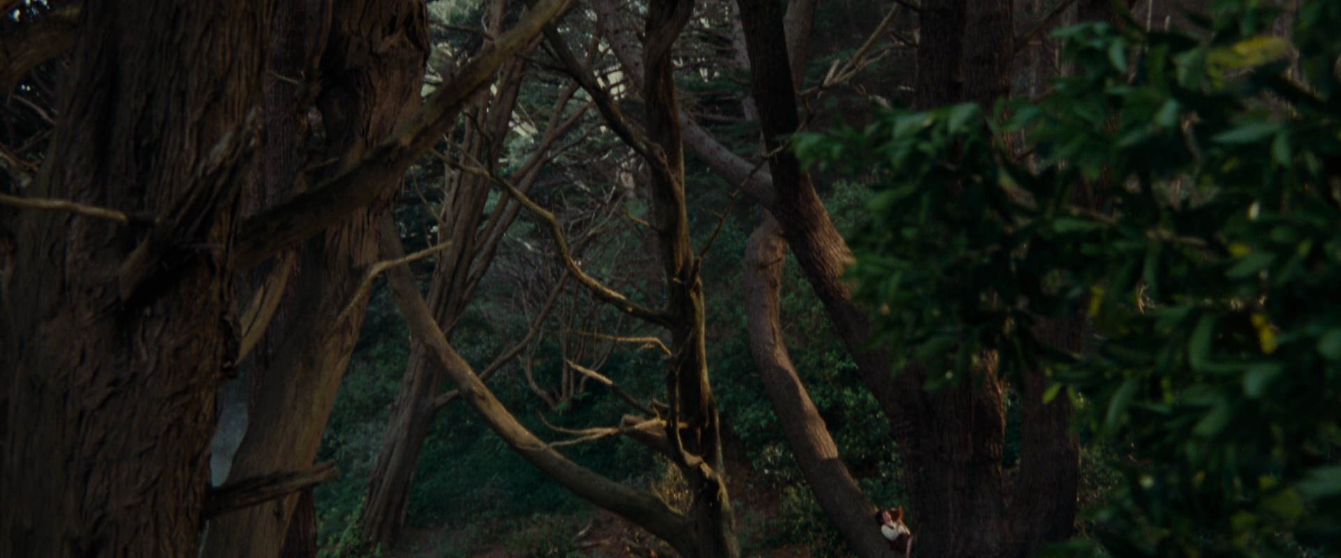 The Lord of the Rings: The Fellowship of the Ring (2001) HD screenshot 5141