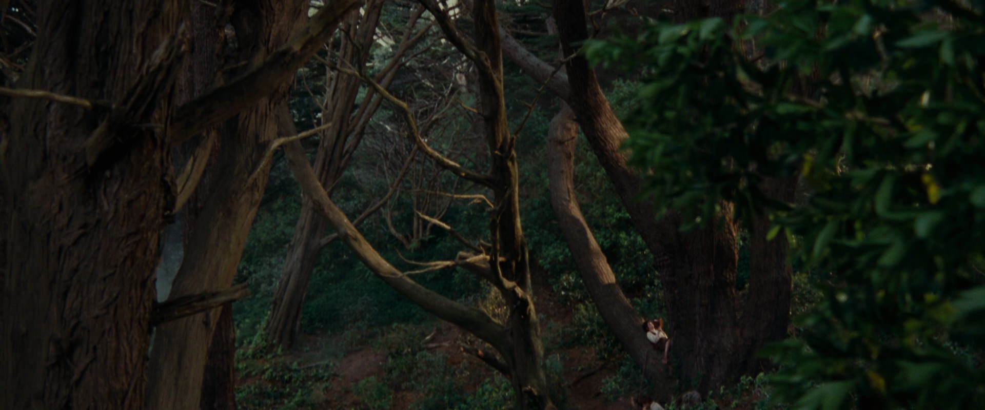 The Lord of the Rings: The Fellowship of the Ring (2001) screencap 5142