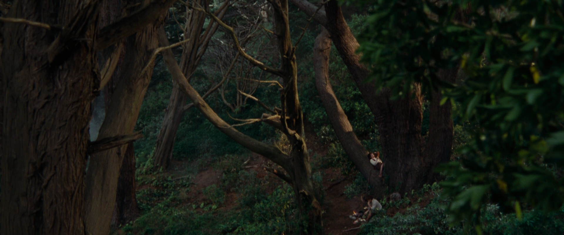 The Lord of the Rings: The Fellowship of the Ring (2001) movie still 5143