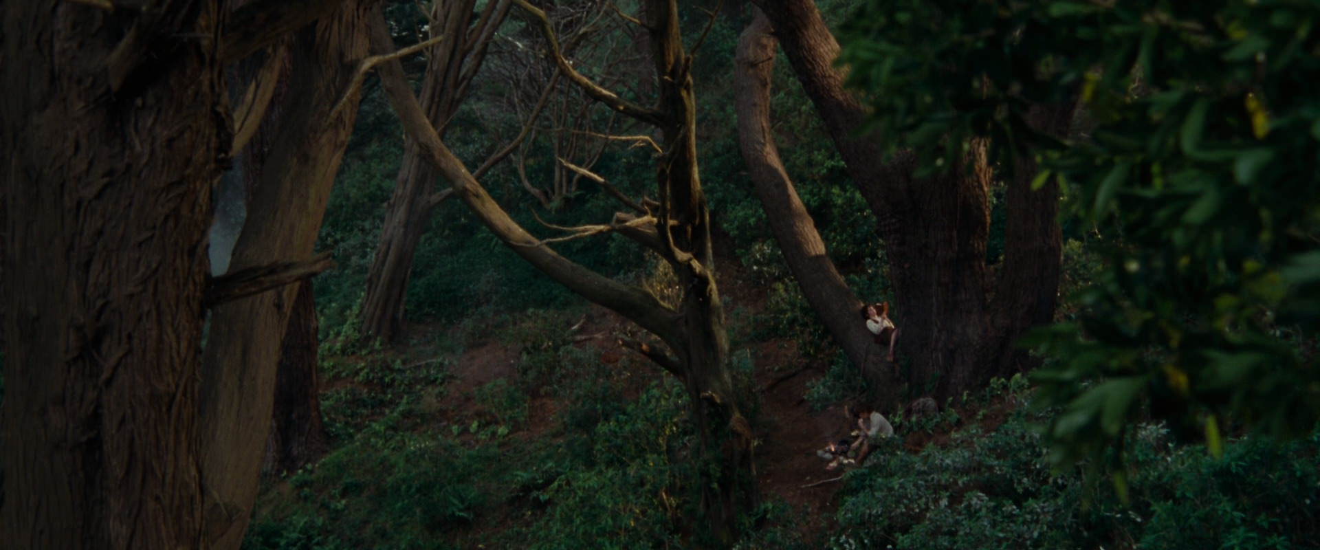 The Lord of the Rings: The Fellowship of the Ring (2001) HD screenshot 5144