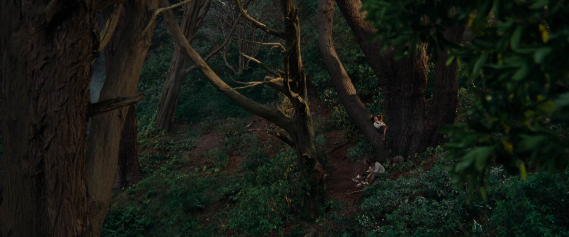 The Lord of the Rings: The Fellowship of the Ring (2001) screencap 5145