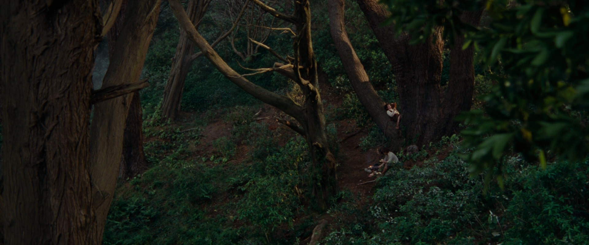The Lord of the Rings: The Fellowship of the Ring (2001) HD screenshot 5147