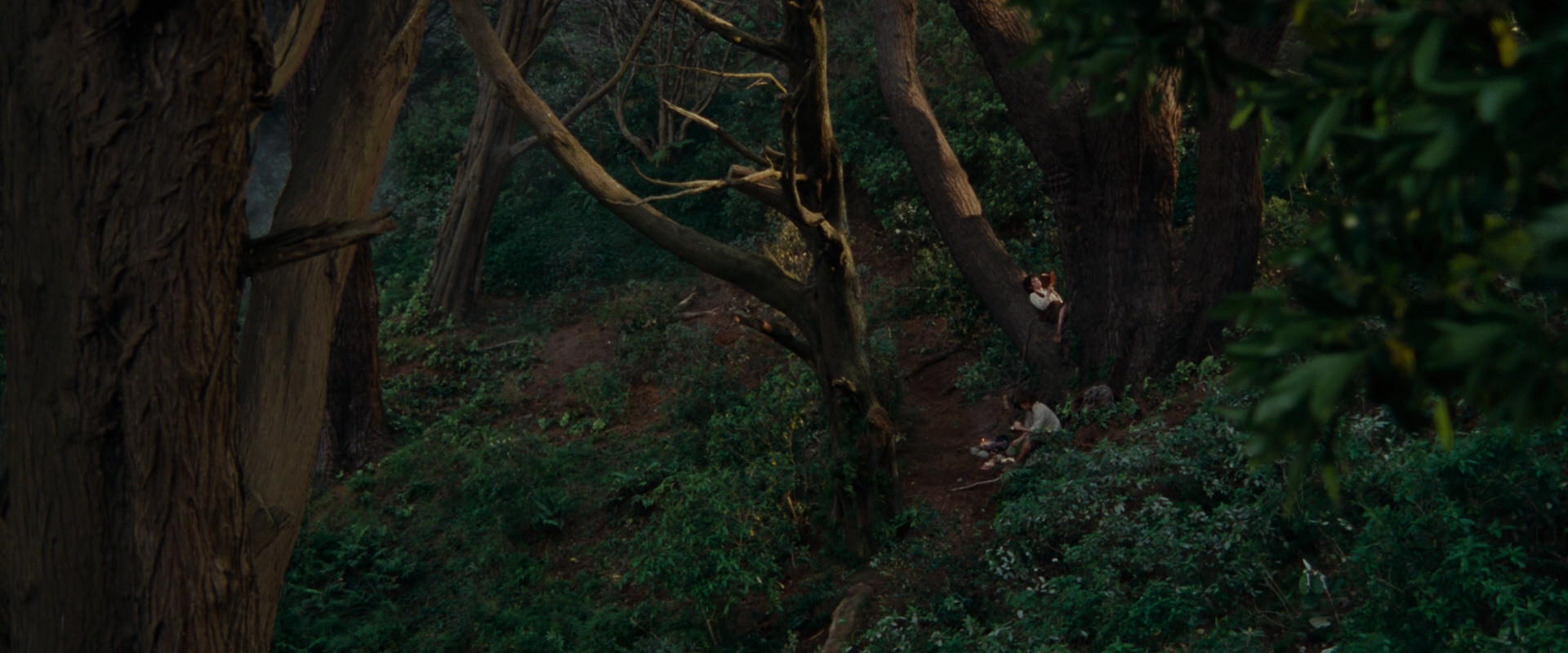 The Lord of the Rings: The Fellowship of the Ring (2001) screencap 5148