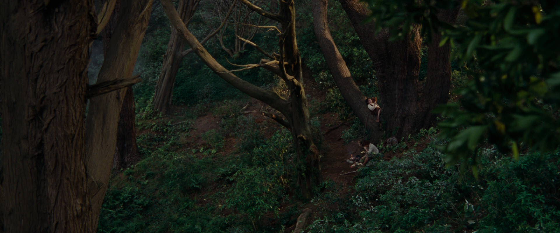 The Lord of the Rings: The Fellowship of the Ring (2001) movie still 5149