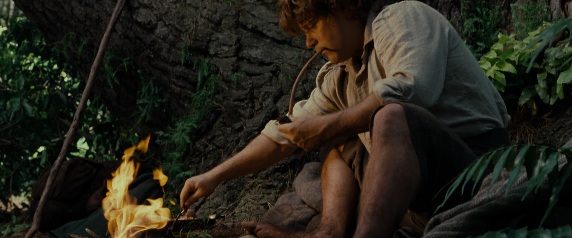 The Lord of the Rings: The Fellowship of the Ring (2001) screencap 5154