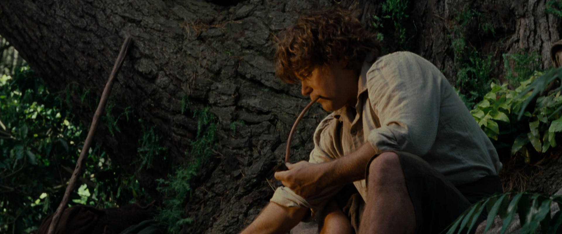 The Lord of the Rings: The Fellowship of the Ring (2001) HD screenshot 5156