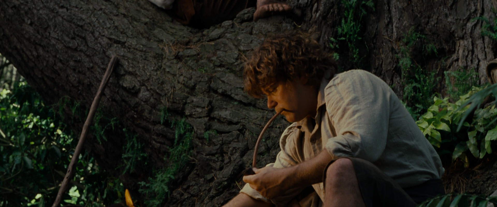 The Lord of the Rings: The Fellowship of the Ring (2001) screencap 5157