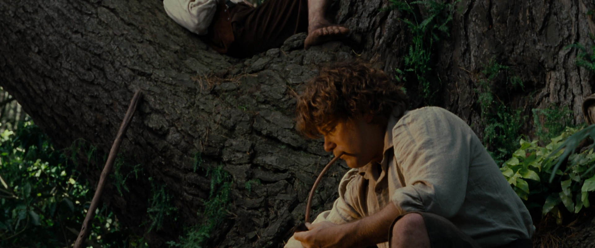 The Lord of the Rings: The Fellowship of the Ring (2001) movie still 5158