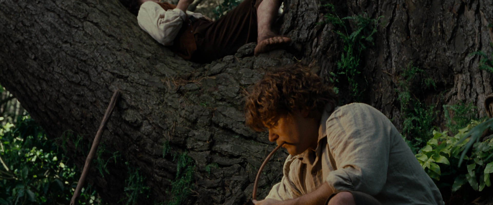The Lord of the Rings: The Fellowship of the Ring (2001) HD screenshot 5159