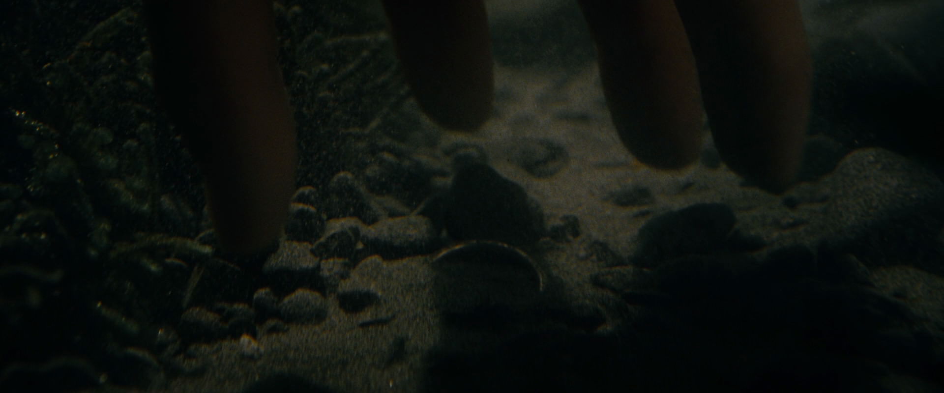 The Lord of the Rings: The Fellowship of the Ring (2001) screencap 516