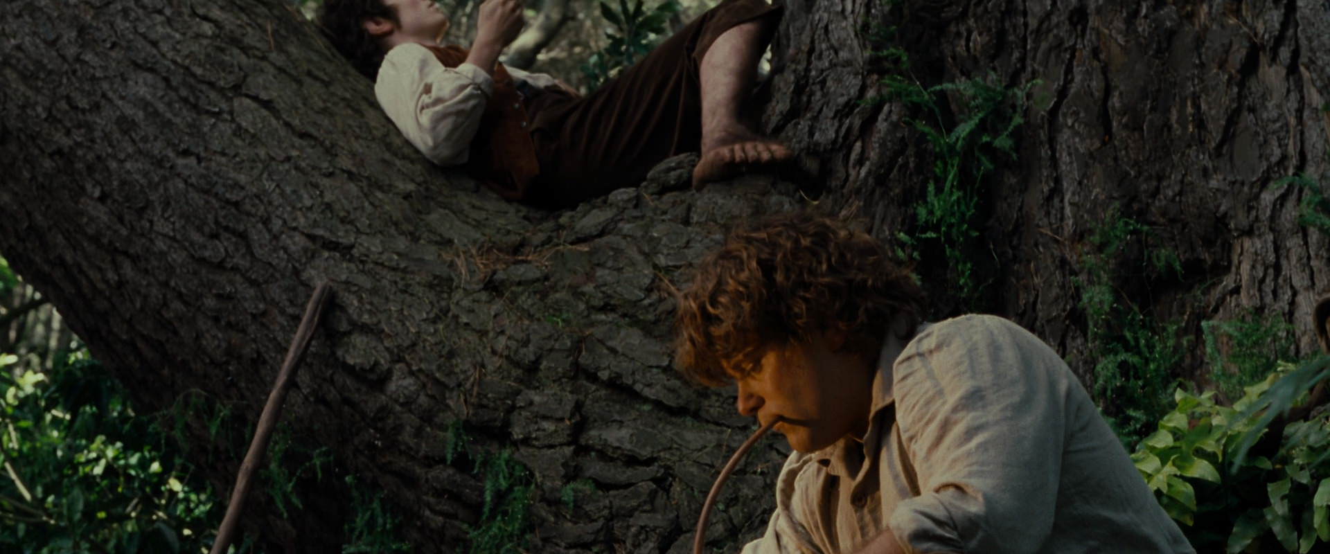 The Lord of the Rings: The Fellowship of the Ring (2001) screencap 5160
