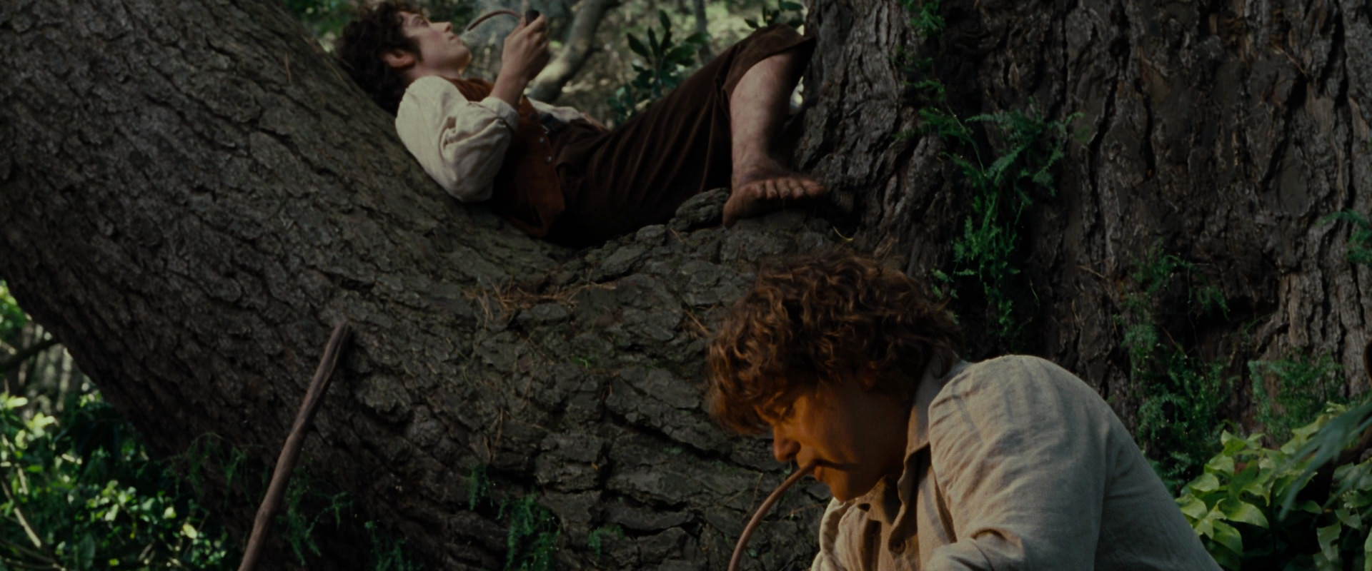The Lord of the Rings: The Fellowship of the Ring (2001) movie still 5161