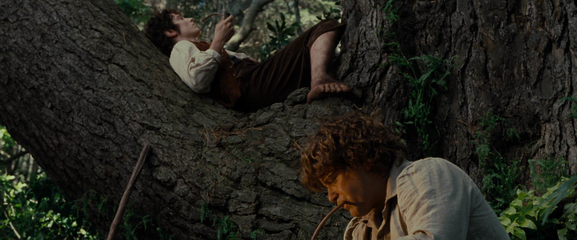 The Lord of the Rings: The Fellowship of the Ring (2001) HD screenshot 5162