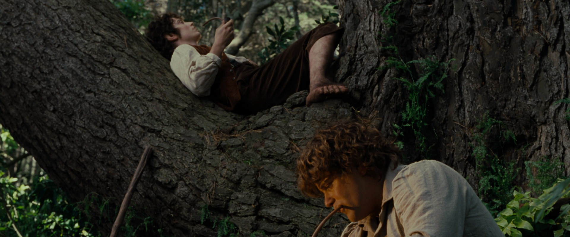 The Lord of the Rings: The Fellowship of the Ring (2001) screencap 5163