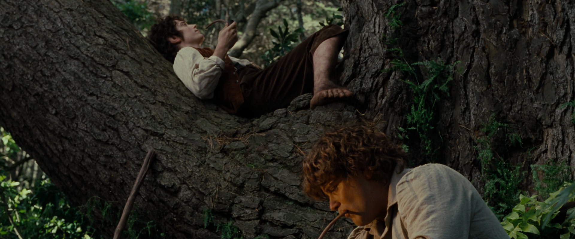 The Lord of the Rings: The Fellowship of the Ring (2001) movie still 5164
