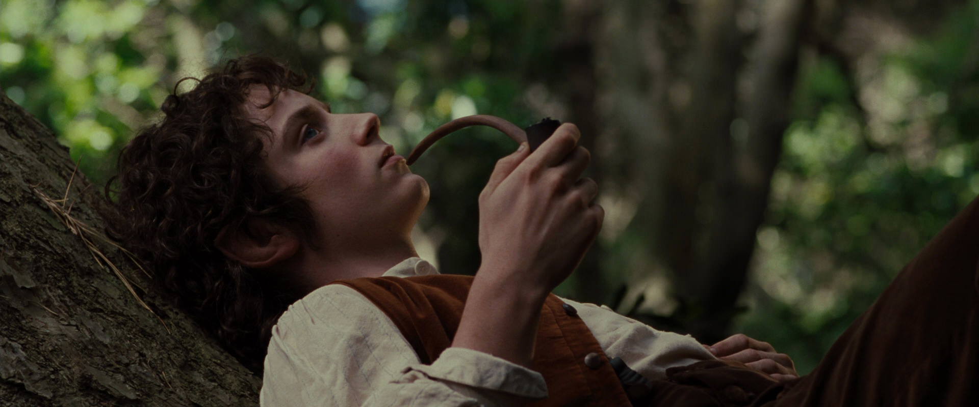 The Lord of the Rings: The Fellowship of the Ring (2001) HD screenshot 5165