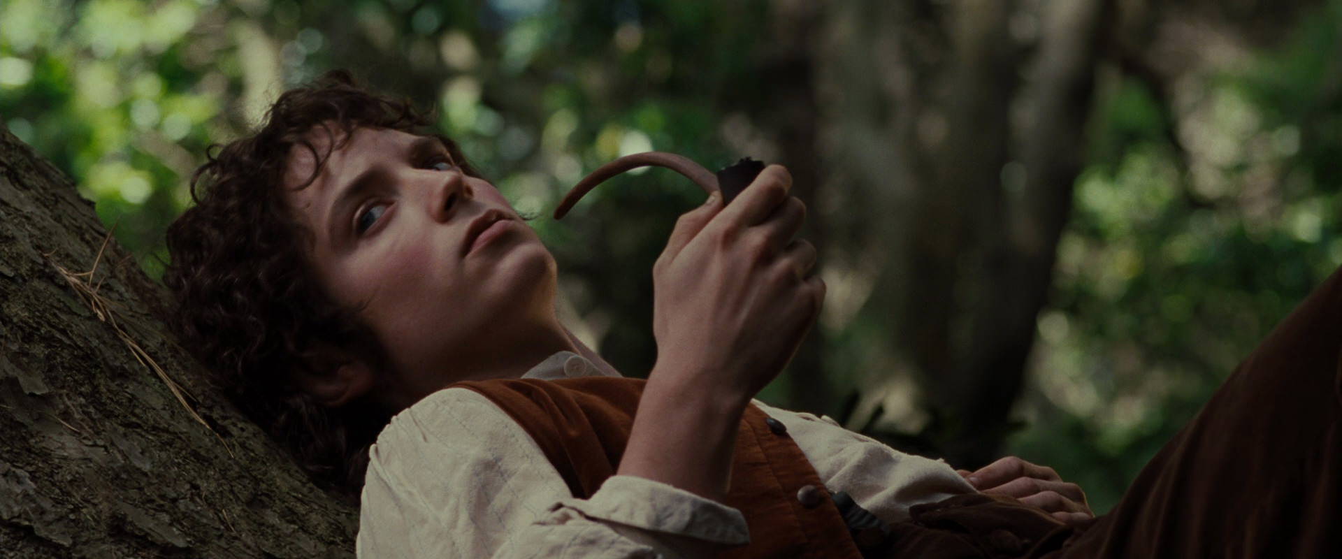 The Lord of the Rings: The Fellowship of the Ring (2001) screencap 5166